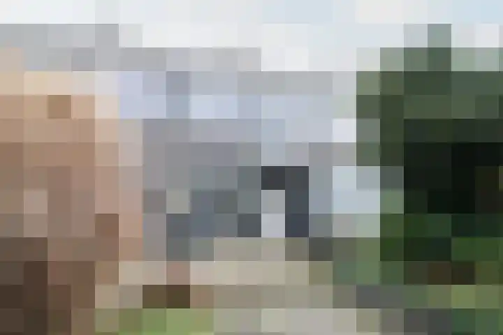 Gudsekop 79 Sneek thumbnail 43