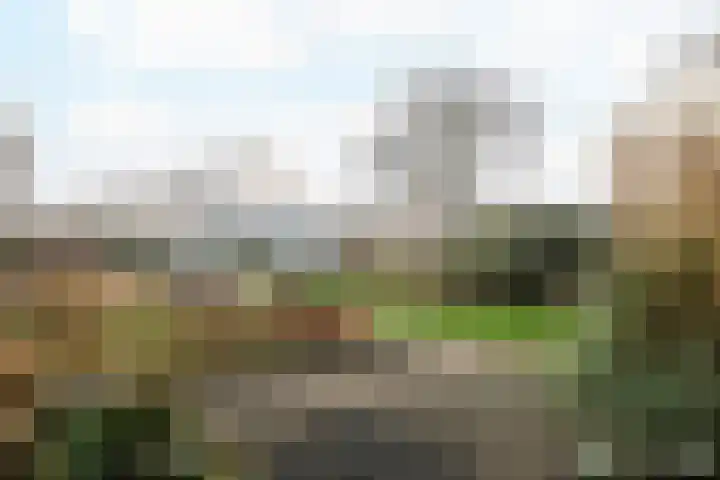 Gudsekop 79 Sneek thumbnail 45