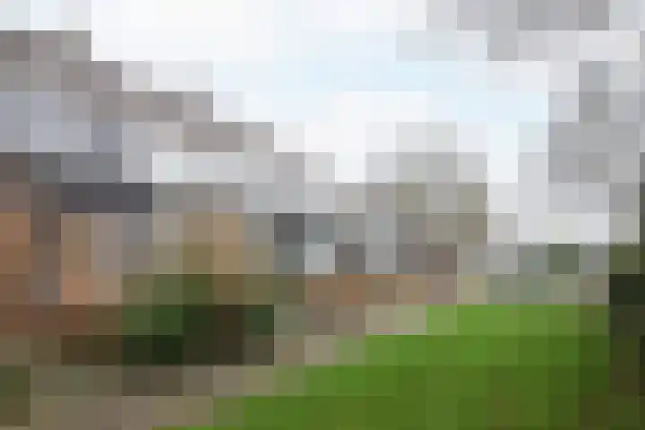 Gudsekop 79 Sneek thumbnail 46