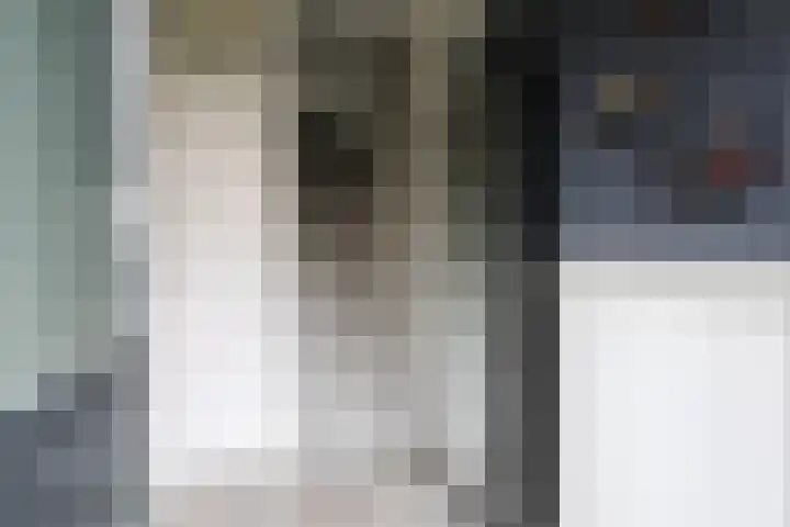 Gudsekop 79 Sneek thumbnail 5