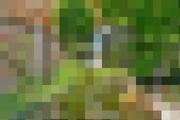 Gudumholm 23 Hoofddorp thumbnail 32