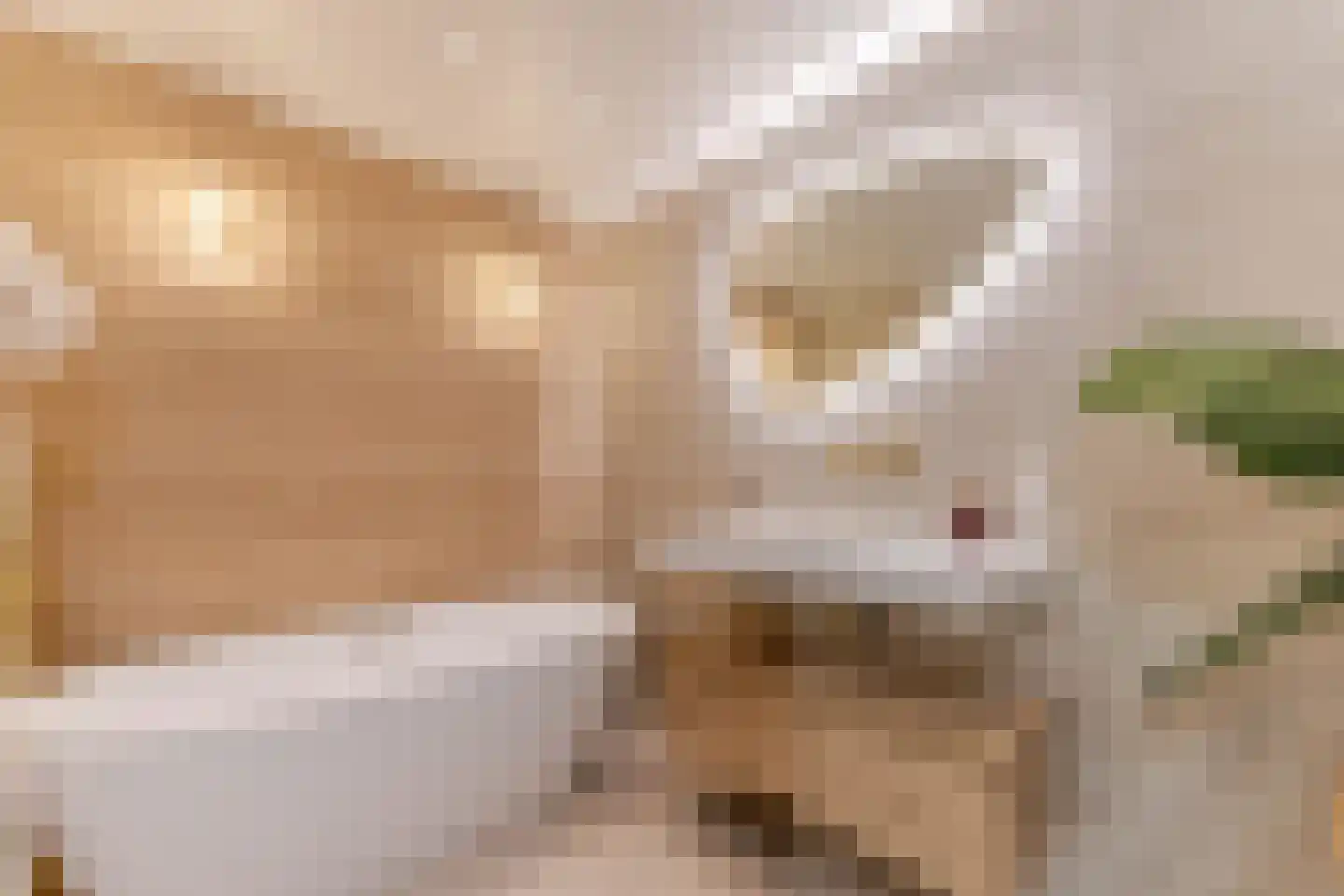 Gugelhof 4 Delft thumbnail 28