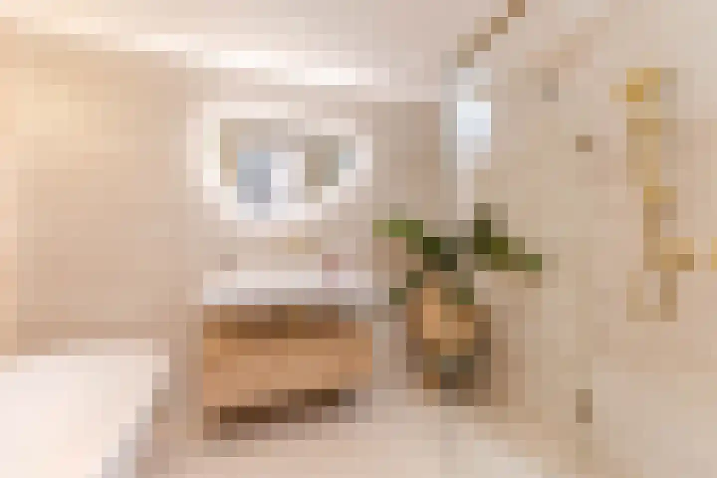 Gugelhof 4 Delft thumbnail 4