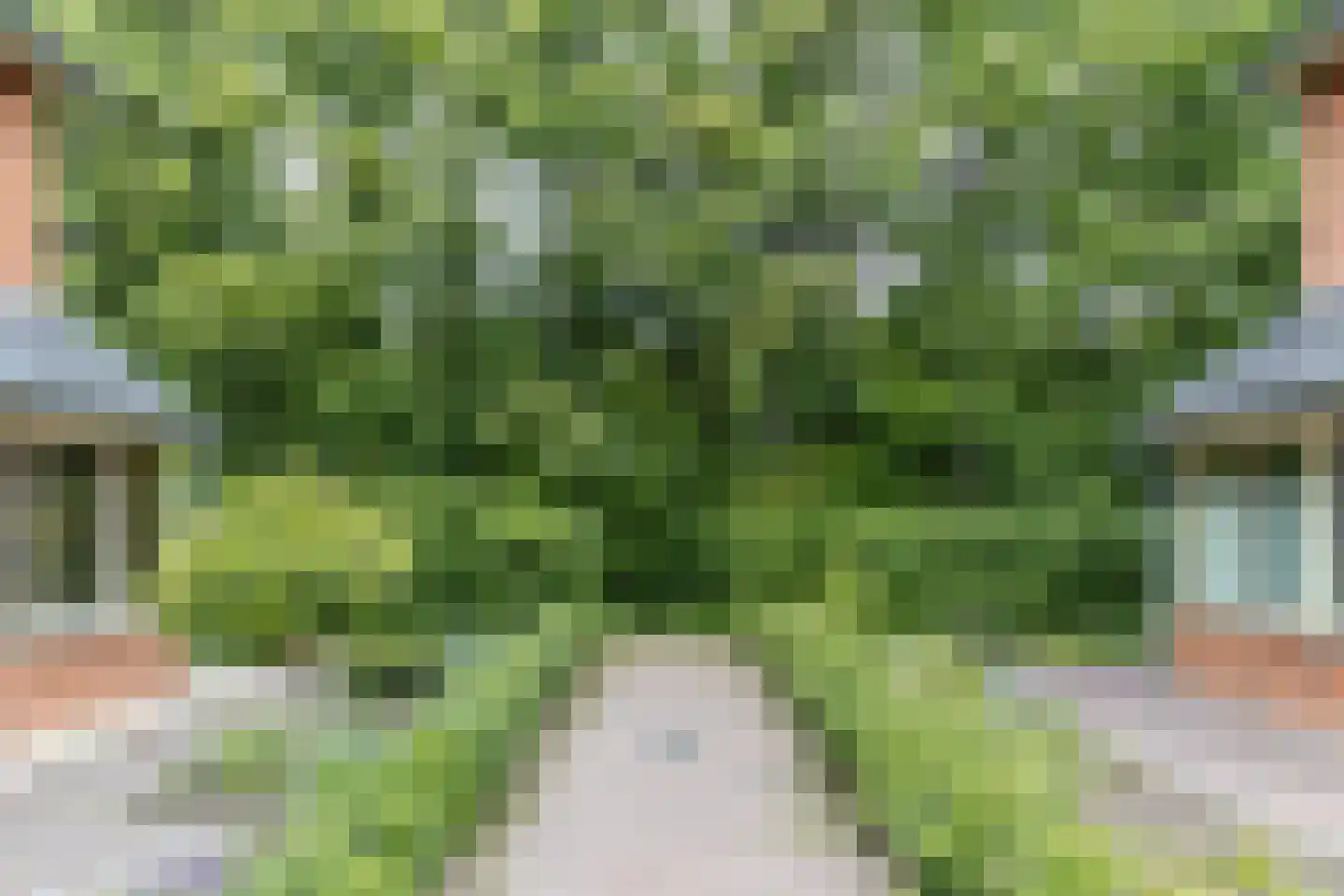 Gugelhof 4 Delft thumbnail 42