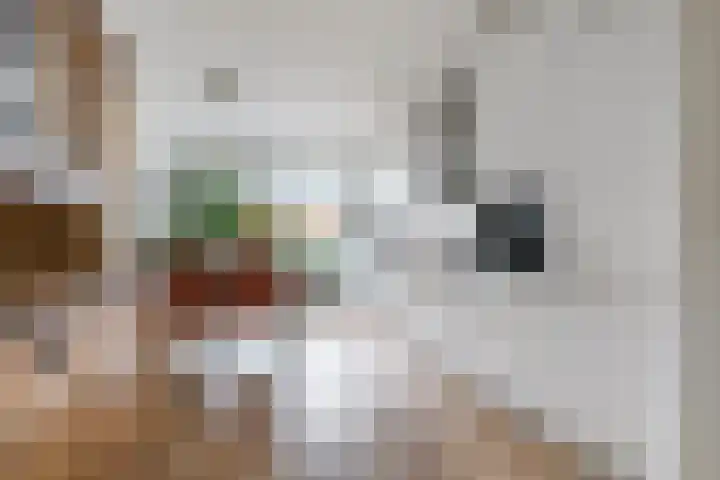 Guggenheimlaan 11 Amsterdam thumbnail 11