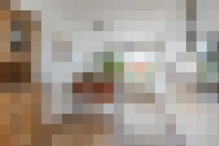 Guggenheimlaan 11 Amsterdam thumbnail 12