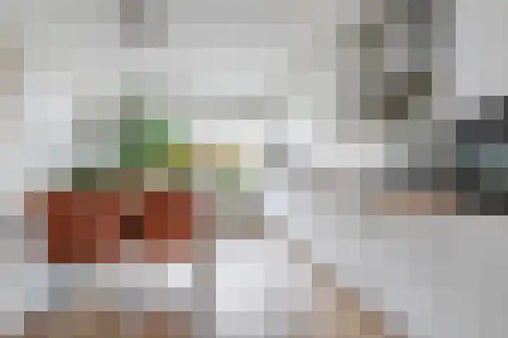 Guggenheimlaan 11 Amsterdam thumbnail 13