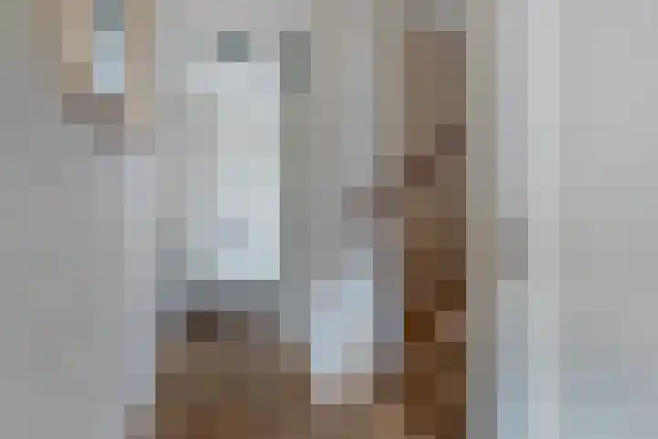 Guggenheimlaan 11 Amsterdam thumbnail 15