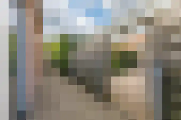 Guggenheimlaan 11 Amsterdam thumbnail 33