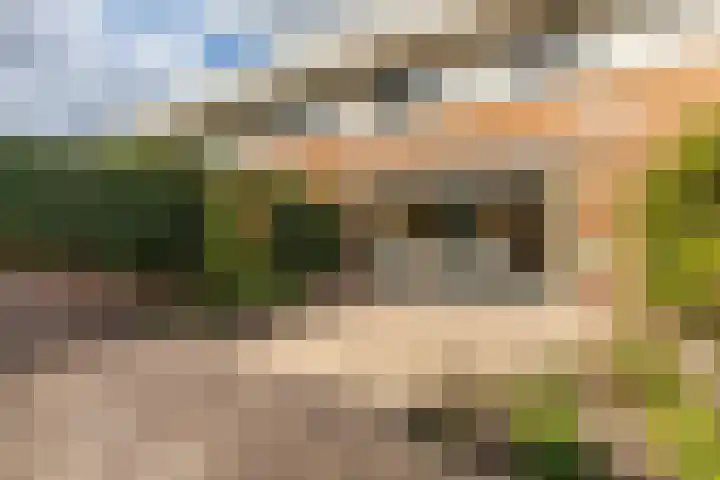 Guggenheimlaan 11 Amsterdam thumbnail 4