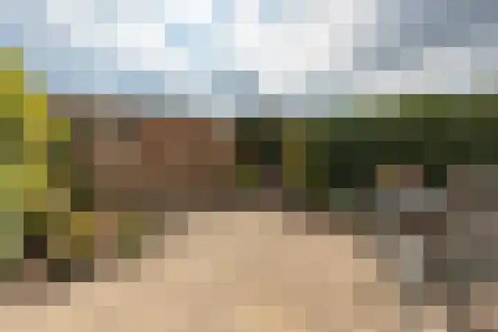 Guggenheimlaan 11 Amsterdam thumbnail 5