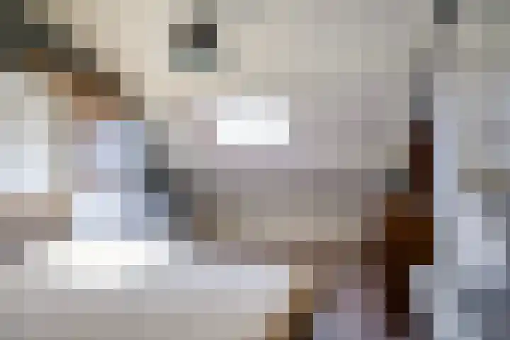 Guido Gezellehof 5 Goor thumbnail 18