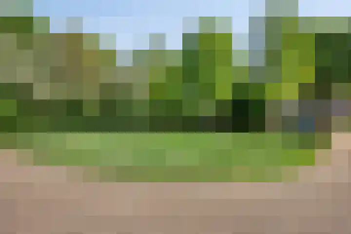 Guido Gezellehof 5 Goor thumbnail 26