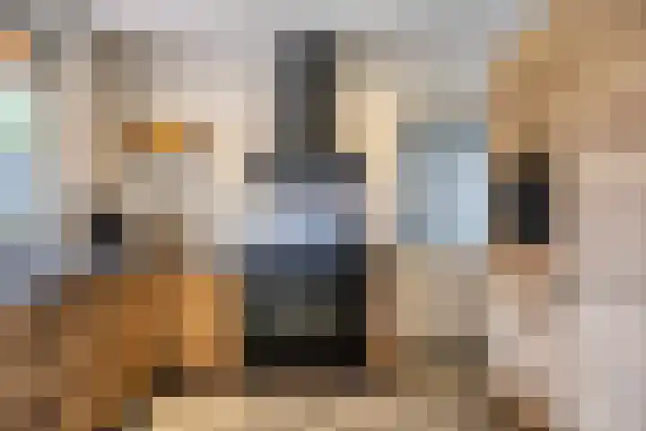 Guido Gezellehof 5 Goor thumbnail 6
