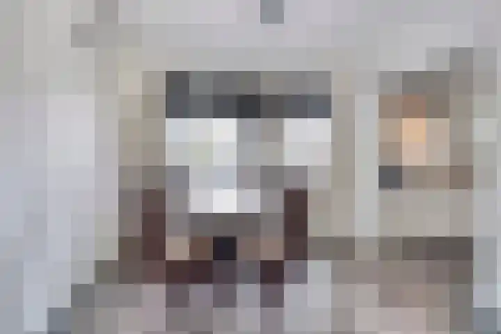 Guido Gezellehof 7 Goor thumbnail 11