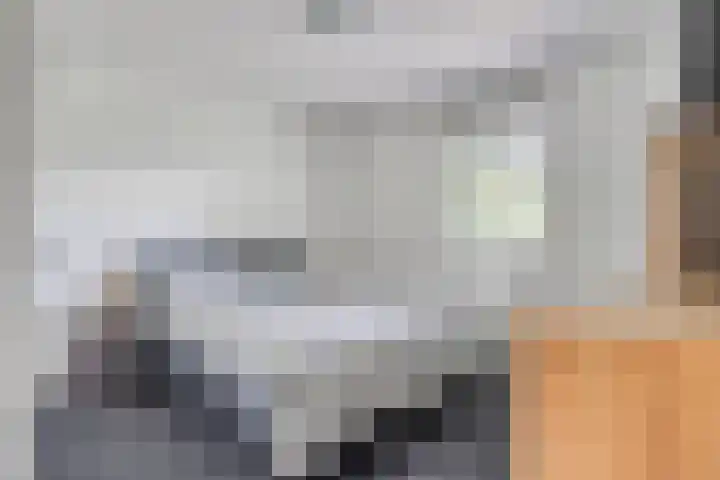 Guido Gezellehof 7 Goor thumbnail 15