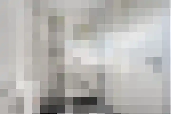 Guido Gezellehof 7 Goor thumbnail 17