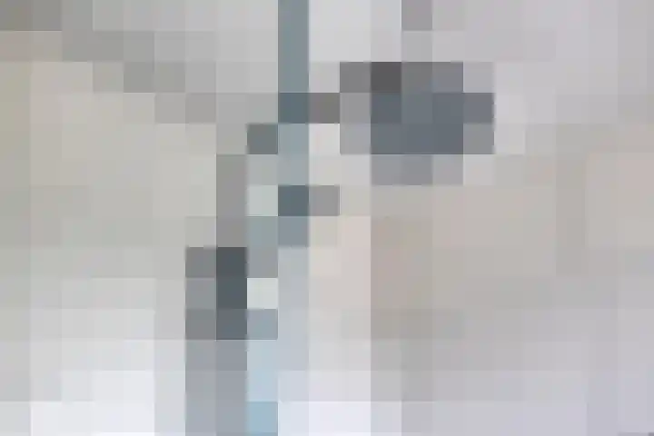 Guido Gezellehof 7 Goor thumbnail 19