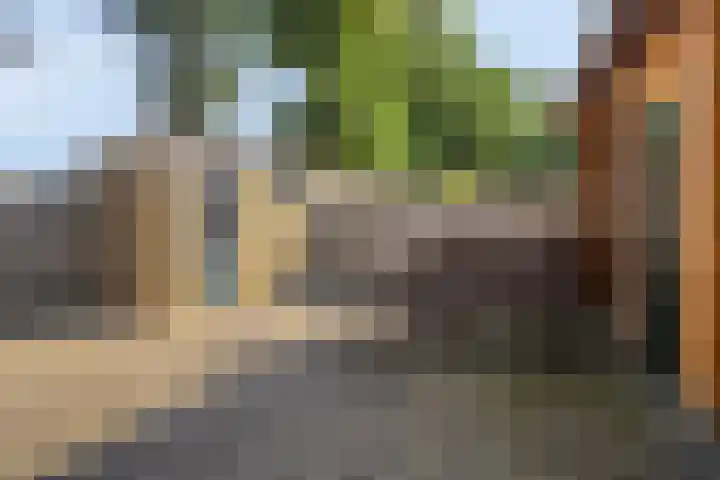 Guido Gezellehof 7 Goor thumbnail 28