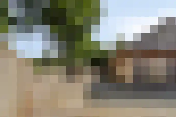 Guido Gezellehof 7 Goor thumbnail 30