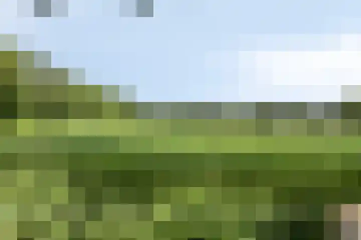 Guido Gezellehof 7 Goor thumbnail 34