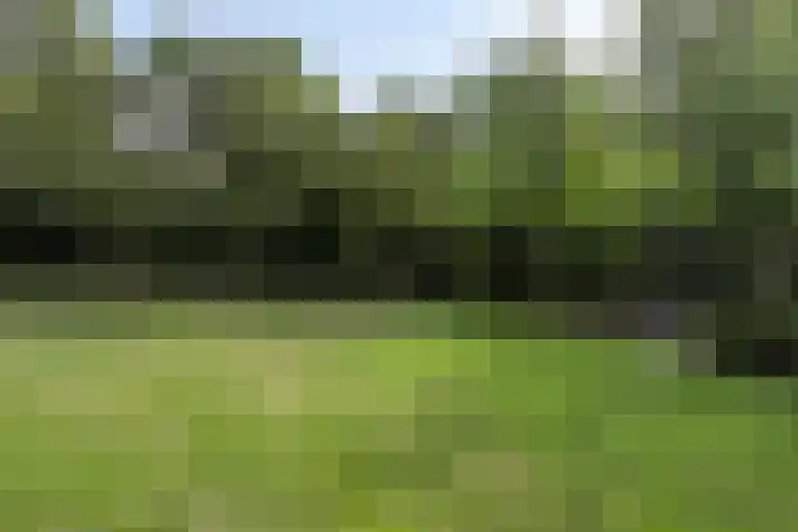 Guido Gezellehof 7 Goor thumbnail 35