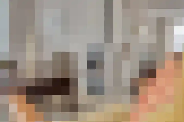 Guido Gezellelaan 100 Goirle thumbnail 11
