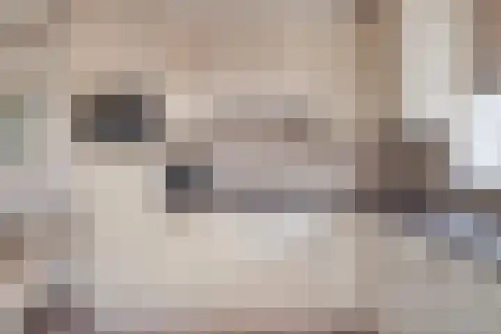 Guido Gezellelaan 100 Goirle thumbnail 16