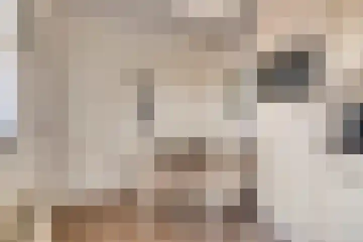 Guido Gezellelaan 100 Goirle thumbnail 17