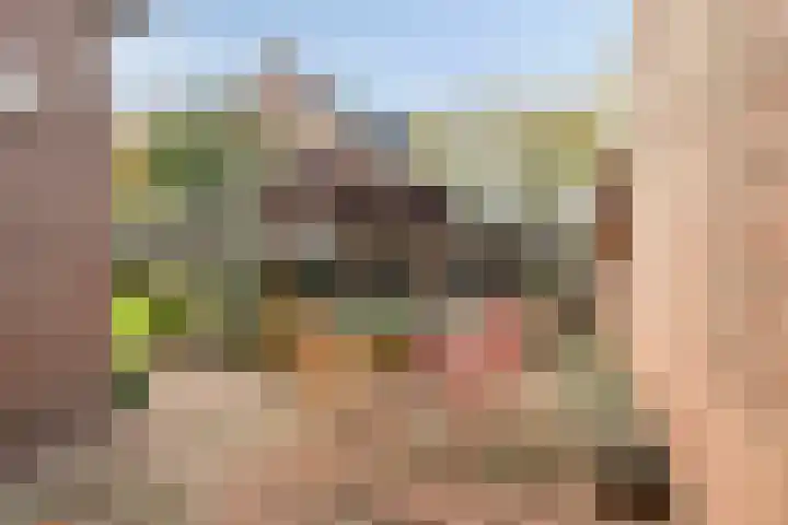 Guido Gezellelaan 100 Goirle thumbnail 32