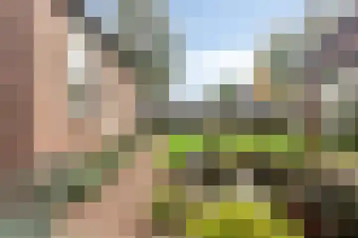Guido Gezellelaan 100 Goirle thumbnail 33