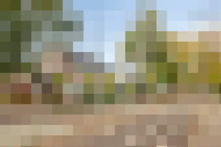 Guido Gezellelaan 100 Goirle thumbnail 4