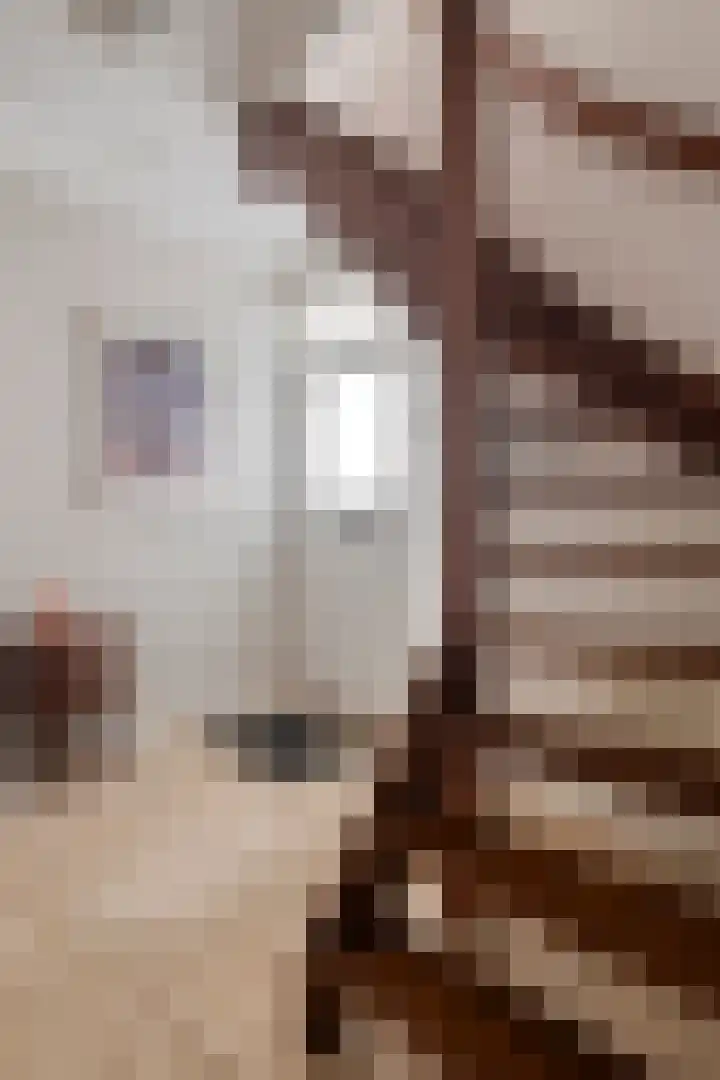 Guido Gezellelaan 100 Goirle thumbnail 6