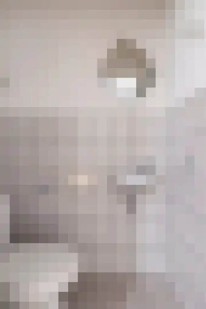 Guido Gezellelaan 100 Goirle thumbnail 7