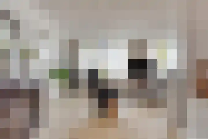 Guido Gezellelaan 100 Goirle thumbnail 8
