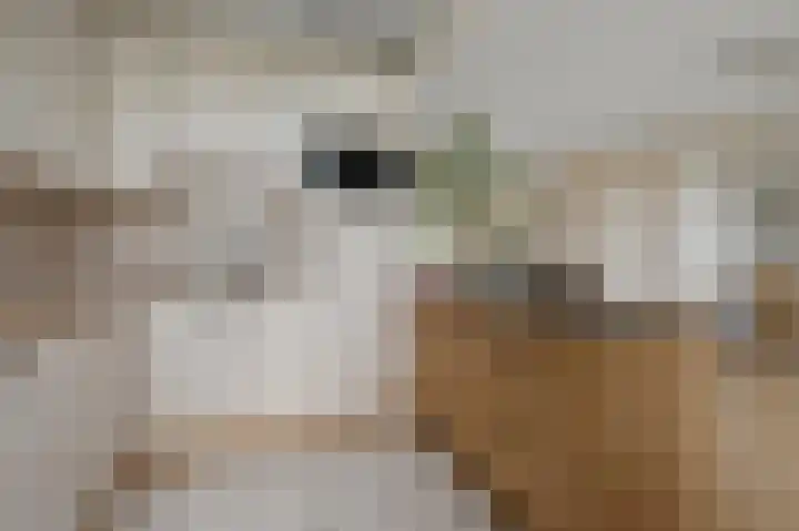 Guido Gezellelaan 12 Uithoorn thumbnail 13