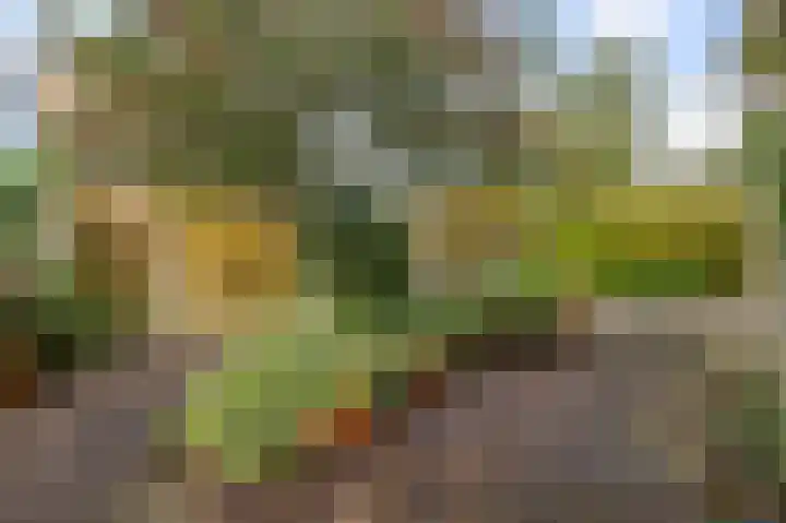 Guido Gezellelaan 12 Uithoorn thumbnail 38