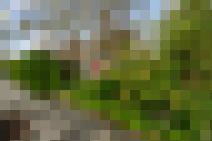 Guido Gezellelaan 12 Uithoorn thumbnail 39
