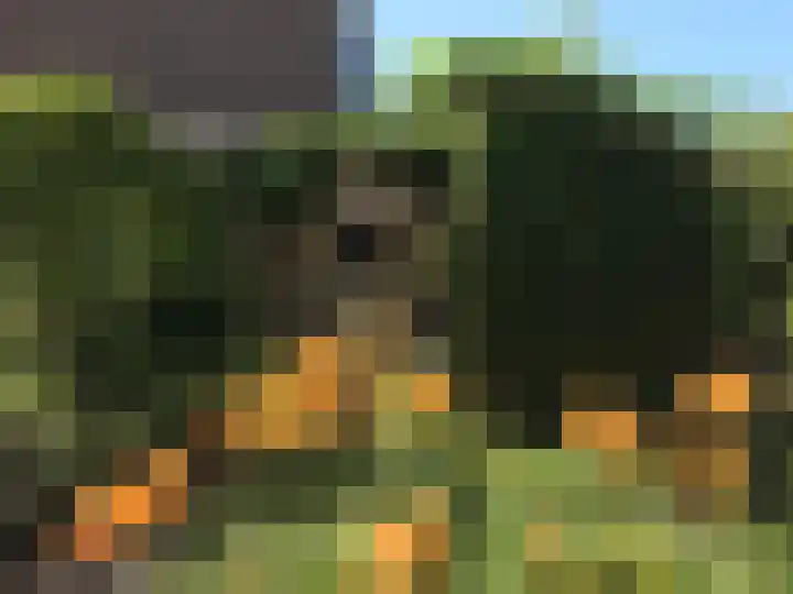 Guido Gezellelaan 12 Uithoorn thumbnail 41