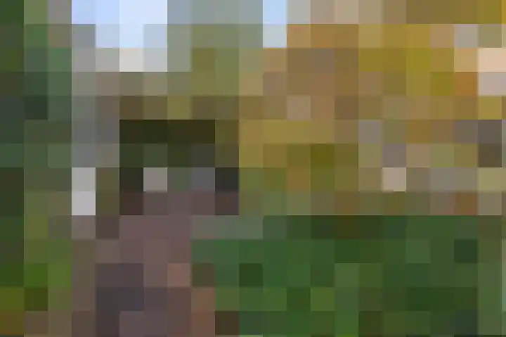 Guido Gezellelaan 12 Uithoorn thumbnail 42