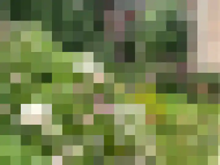 Guido Gezellelaan 12 Uithoorn thumbnail 49