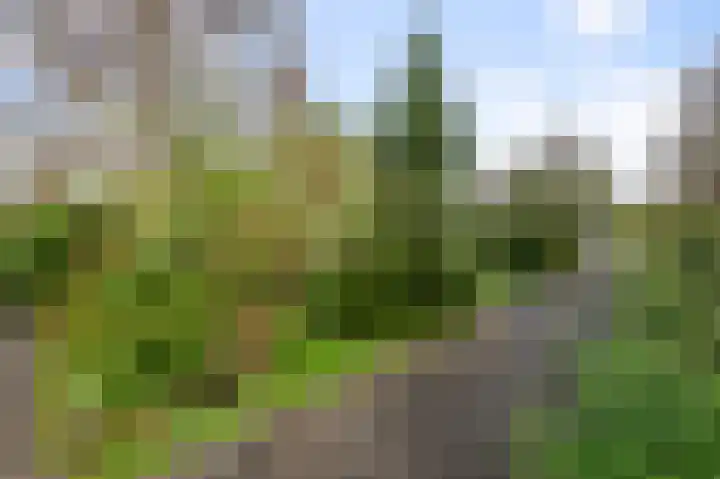 Guido Gezellelaan 12 Uithoorn thumbnail 51