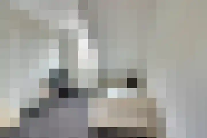Guido Gezellelaan 122 Goirle thumbnail 29