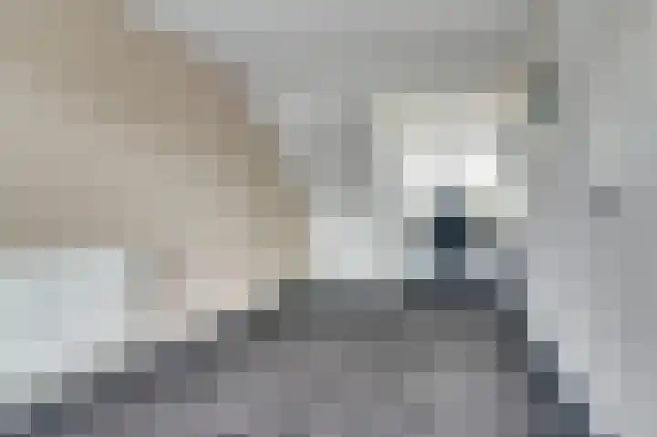 Guido Gezellelaan 122 Goirle thumbnail 31