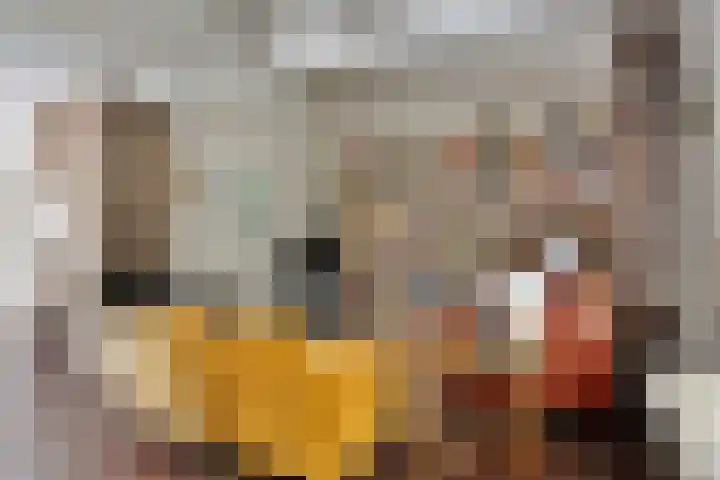 Guido Gezellelaan 124 Etten-Leur thumbnail 10