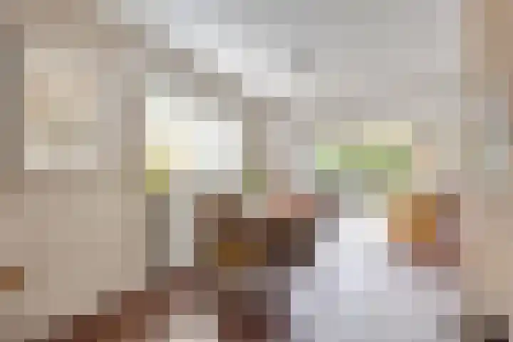 Guido Gezellelaan 124 Etten-Leur thumbnail 14
