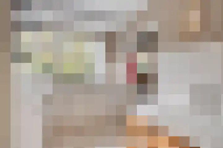 Guido Gezellelaan 124 Etten-Leur thumbnail 18