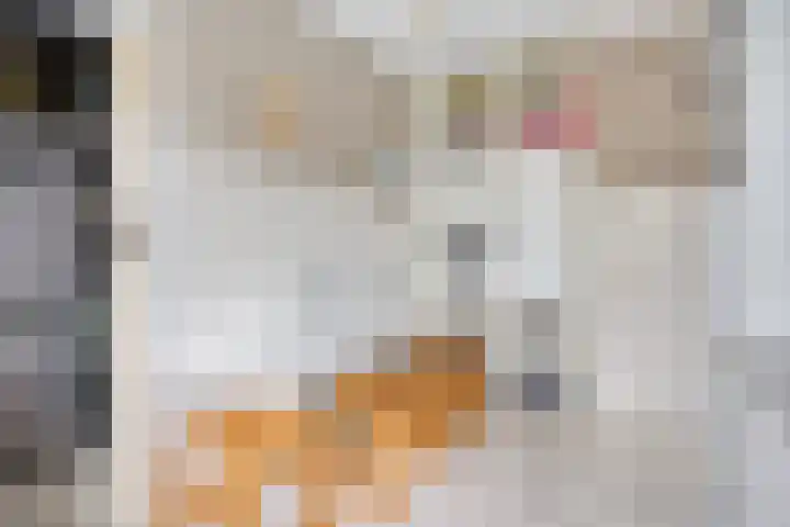 Guido Gezellelaan 124 Etten-Leur thumbnail 19