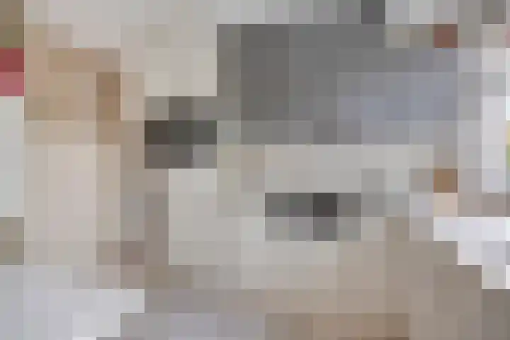 Guido Gezellelaan 124 Etten-Leur thumbnail 20
