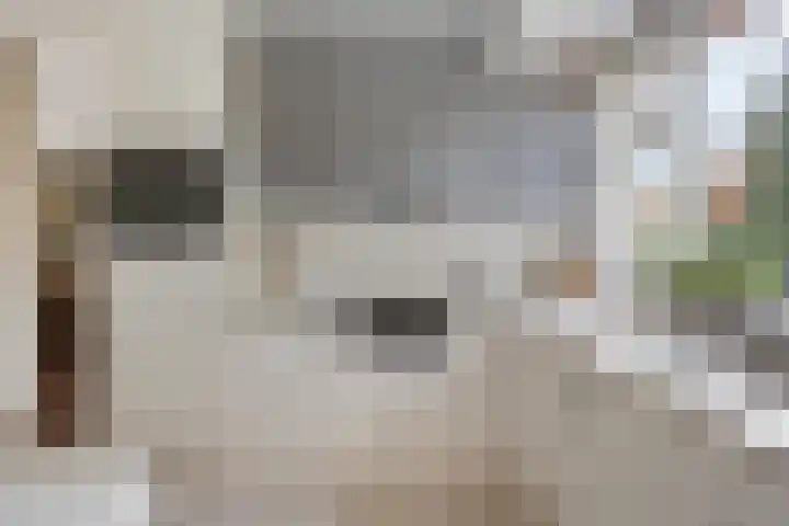 Guido Gezellelaan 124 Etten-Leur thumbnail 21